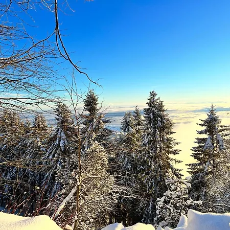 Bielmonte Appartamenti Appartamento Bielmonte