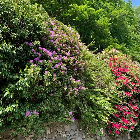 Bielmonte Appartamenti *