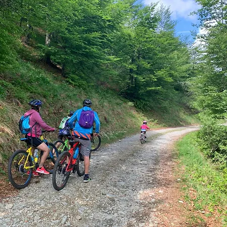 Bielmonte Appartamenti Appartamento Bielmonte