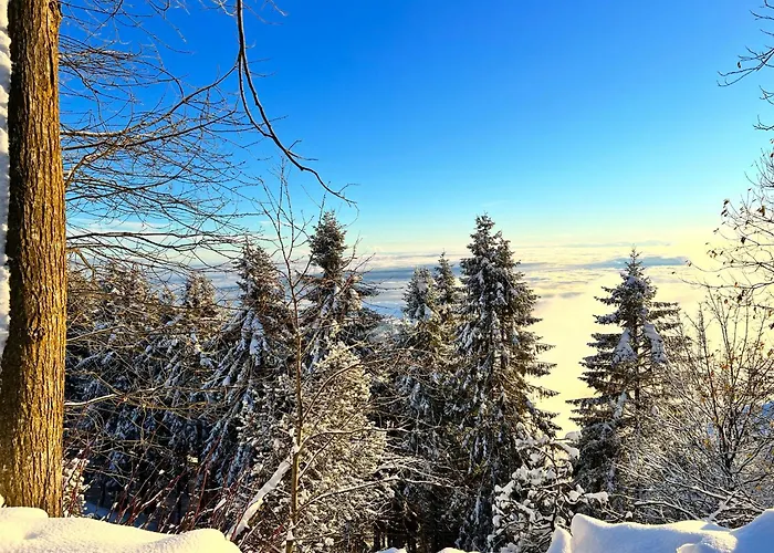 Bielmonte Appartamenti 아파트 Bielmonte