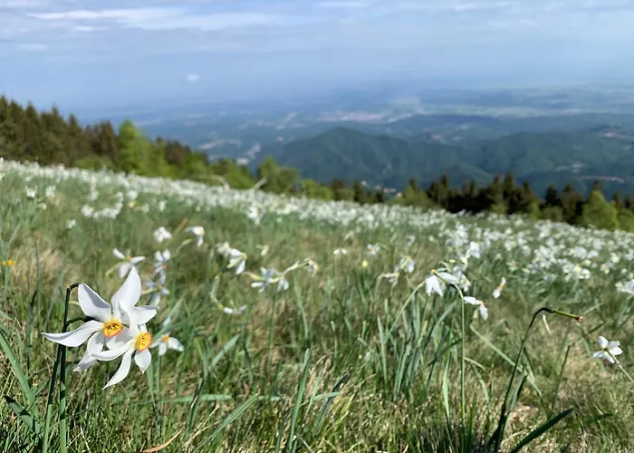 Bielmonte Appartamenti *