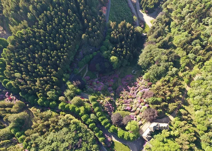 Bielmonte Appartamenti Bielmonte