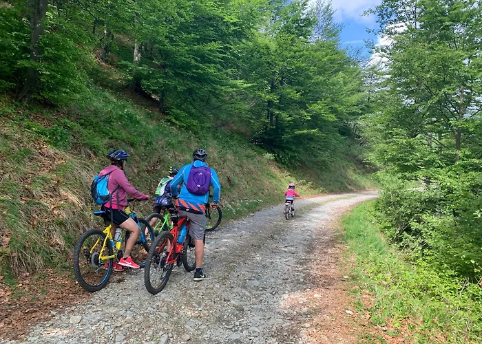 Bielmonte Appartamenti 아파트 Bielmonte